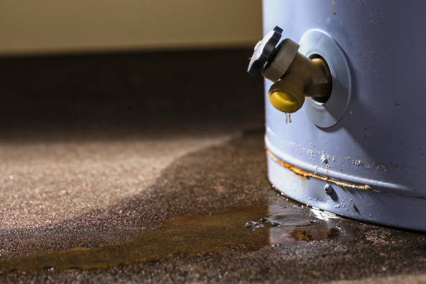 Best Water damage restoration mold remediation  in Benton, IL