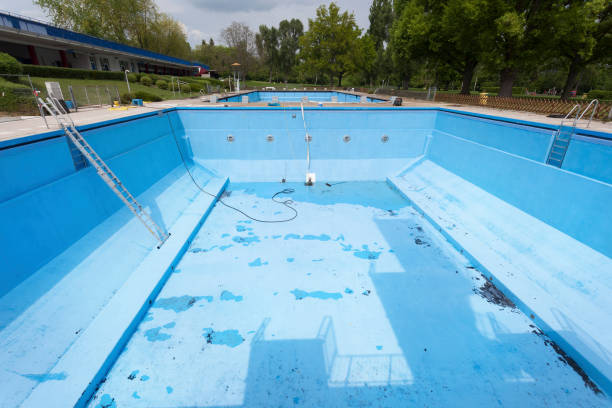 Best Flood restoration services  in Benton, IL