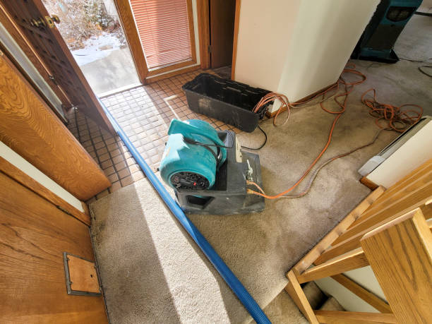 Best Water damage restoration cost  in Benton, IL