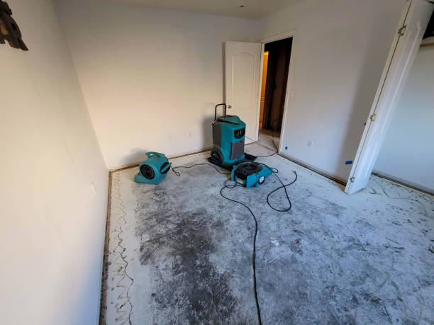 Best Basement water damage restoration  in Benton, IL