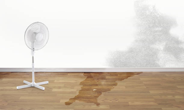 Water damage restoration mold remediation in Benton, IL
