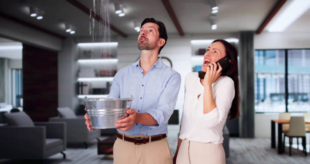 Best Water damage restoration company  in Benton, IL