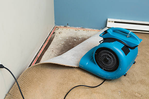 Best Fire Damage Restoration  in Benton, IL